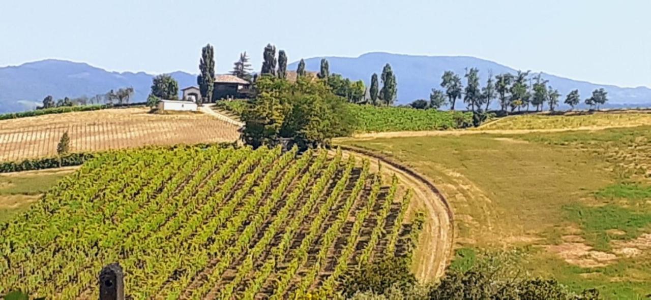 Montalbo Morelli House 게스트하우스 외부 사진