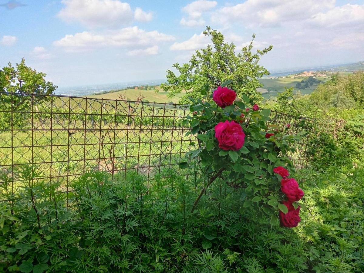 Montalbo Morelli House 게스트하우스 외부 사진