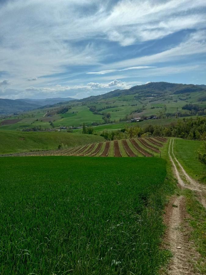 Montalbo Morelli House 게스트하우스 외부 사진